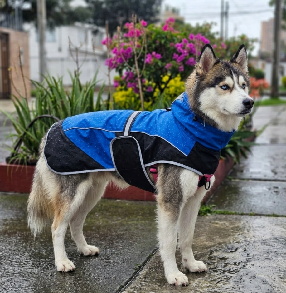 Protección y equipamiento
