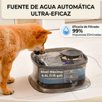 🏆DISPENSADOR INTELIGENTE DE 3.5L + FUENTE DE 4.5L🏆