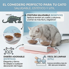 COMEDERO KITTY