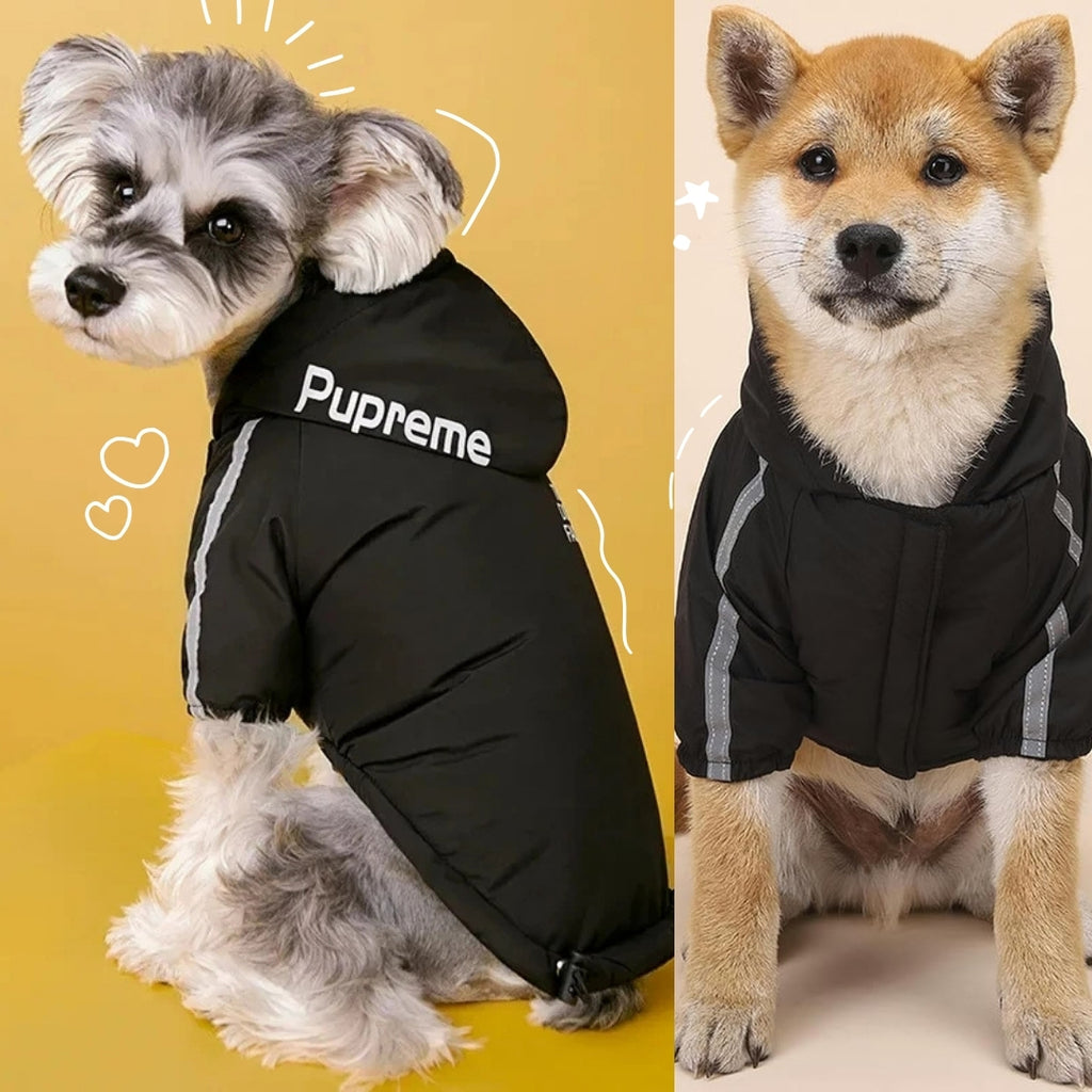 CHAQUETA TERMICA E IMPERMEABLE PARA PERROS