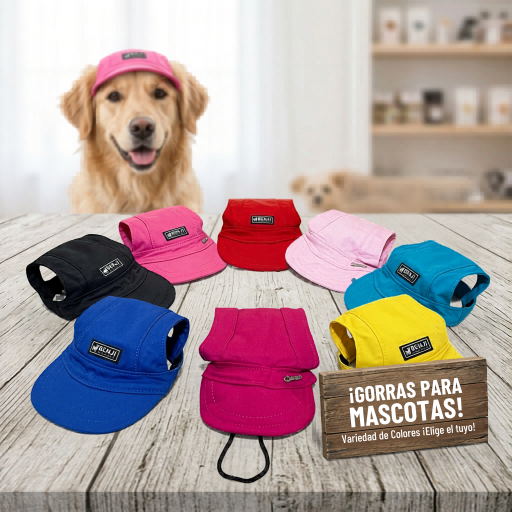GORRA PARA MASCOTAS