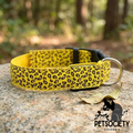 Collar Nocturno con Luz Led x3