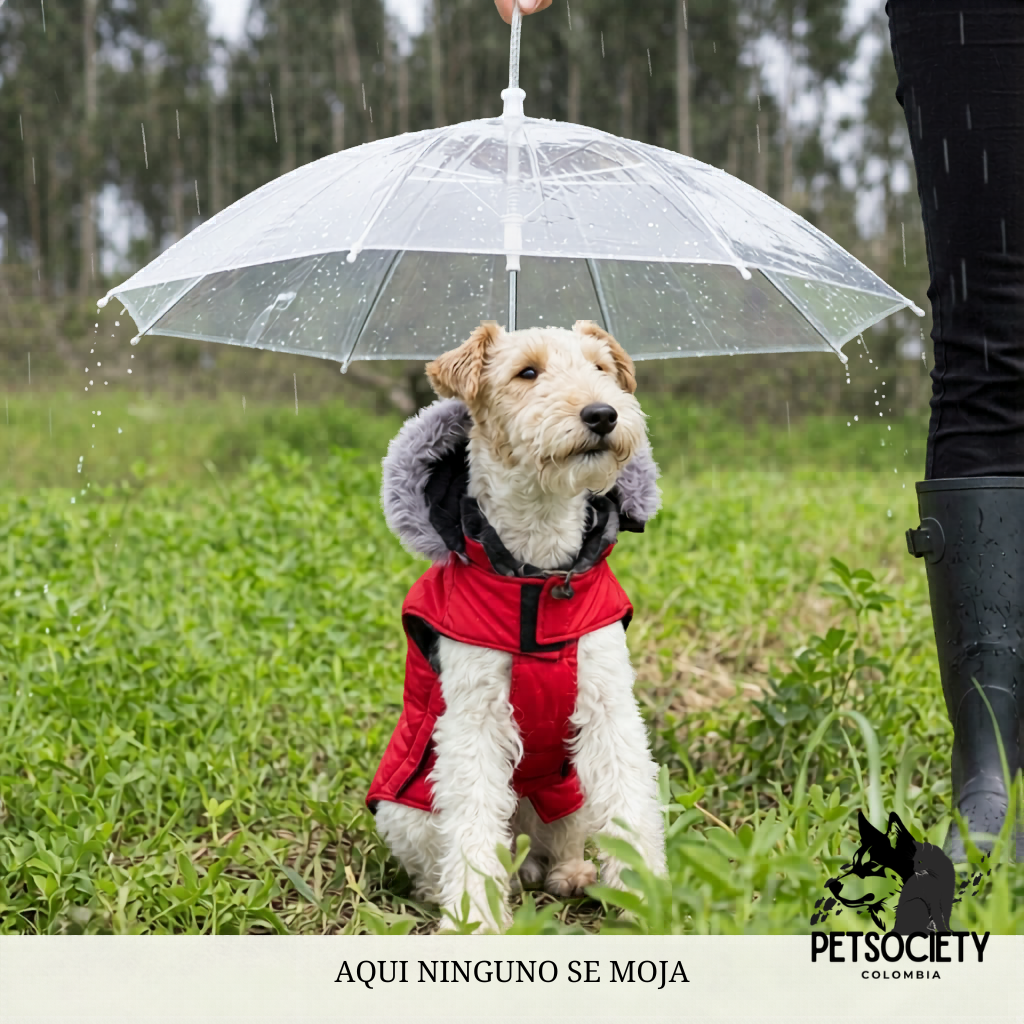 SOMBRILLA PARA MASCOTA