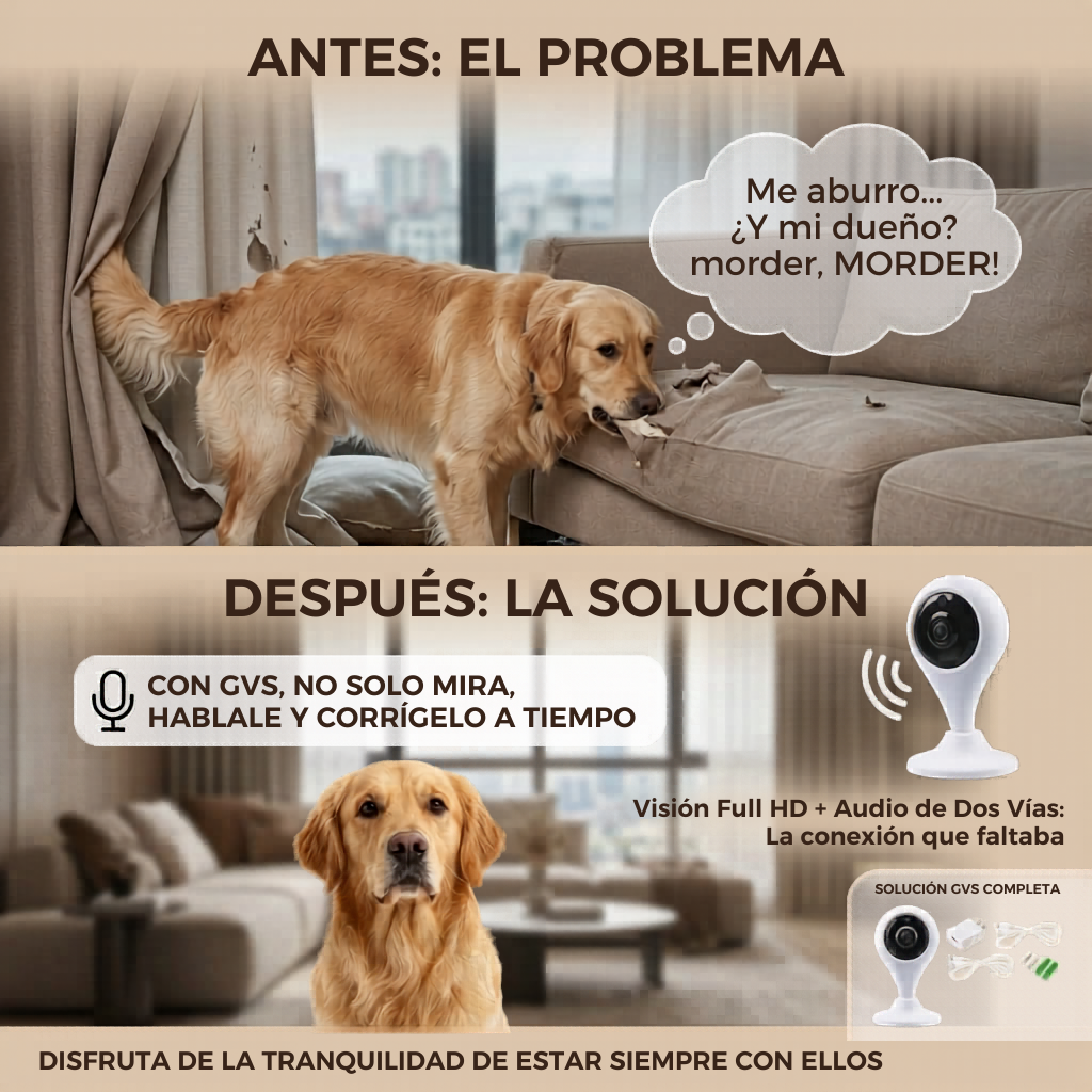 CAMARA PANORAMICA WIFI 360°