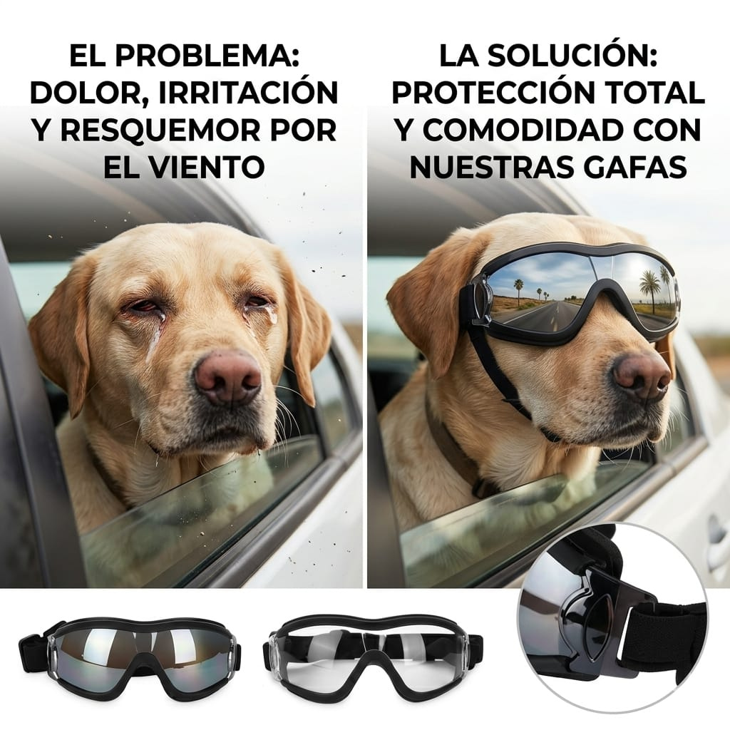 GAFAS DE PROTECCIÓN PARA PERROS